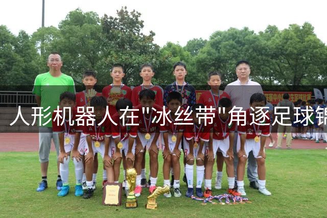 人形机器人在"冰丝带"角逐足球锦标